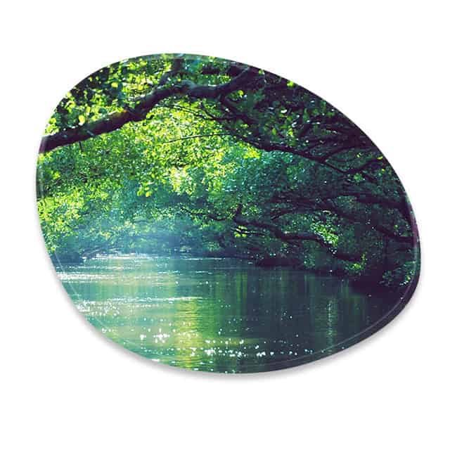 Mother Earth
